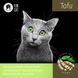 Fun Cat TOFU - наповнювач для котячих туалетів cоєвий з ароматом зеленого чаю 5л FUN31139 фото