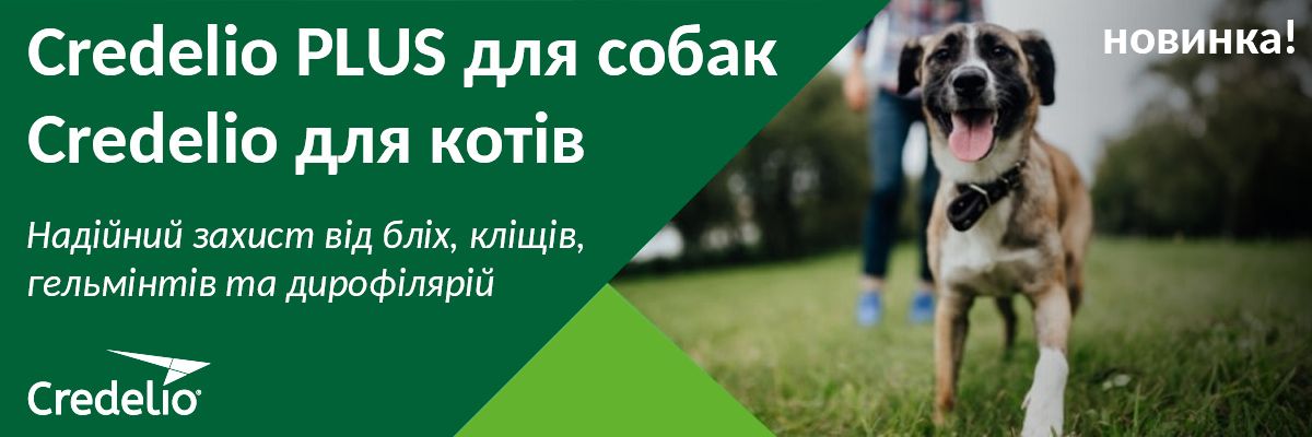 Новинка на ринку України: Credelio для котів та Credelio Plus для собак – надійний захист від паразитів для Ваших пухнастиків! фото