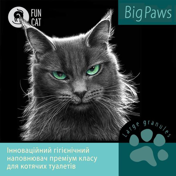 Fun Cat Big Paws - наповнювач для котячих туалетів (для великих котів) 5л