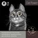 Fun Cat Oat Power - наповнювач для котячих туалетів вiвсяний проти запаху 5л