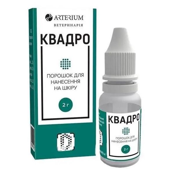 Квадро 2г ART01021 фото